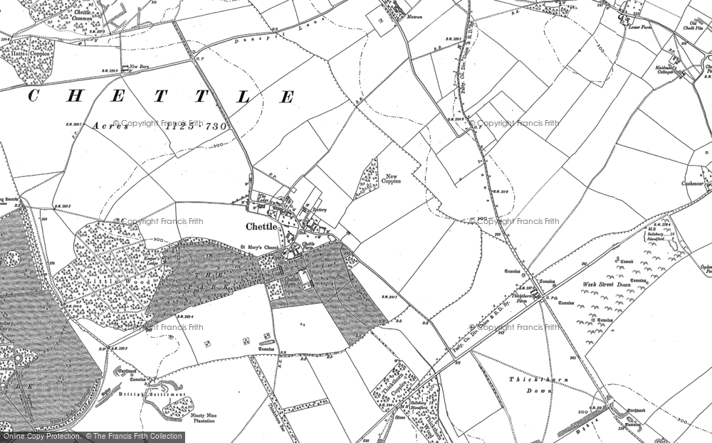 Old Map of Historic Map covering Chettle Down in 1886