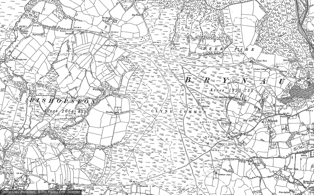 Old Map of Clyne Common, 1896 - 1913 in 1896