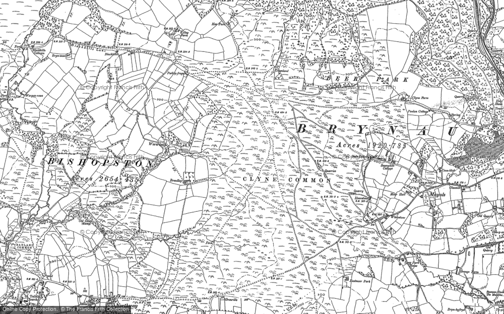 Clyne Common, 1896 - 1913