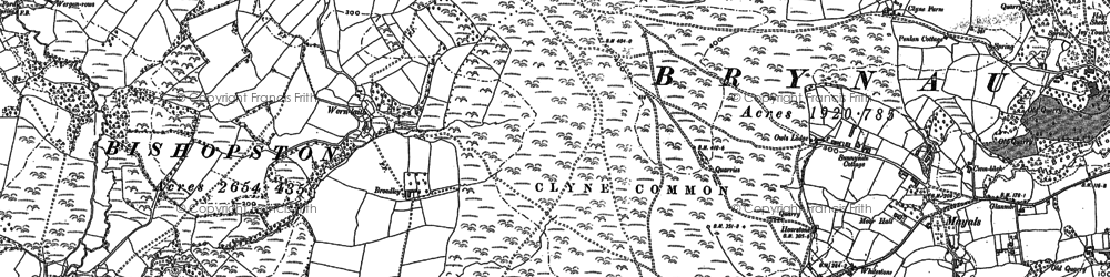 Old map of Clyne Common in 1896