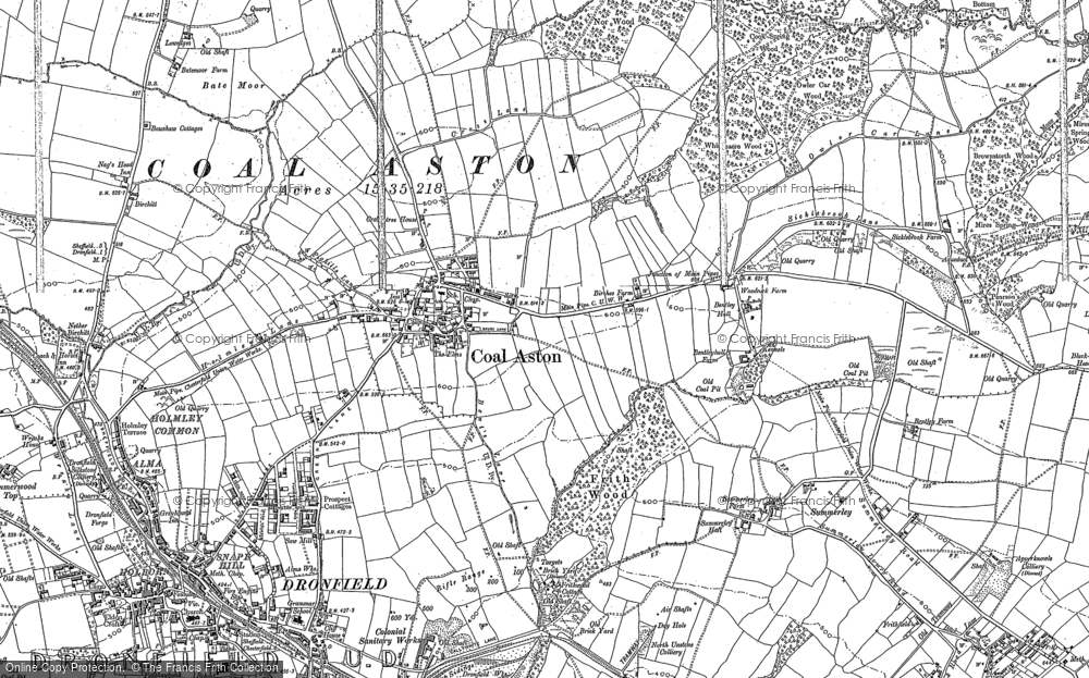 Old Map of Historic Map covering Holmley Common in 1876