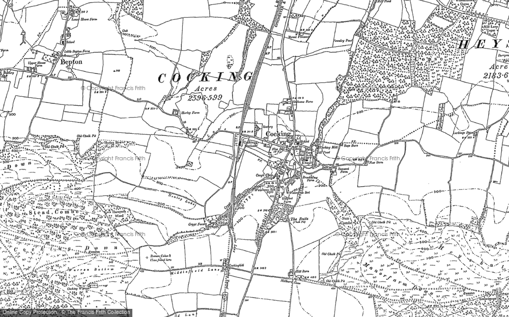 Old Map of Cocking, 1896 in 1896
