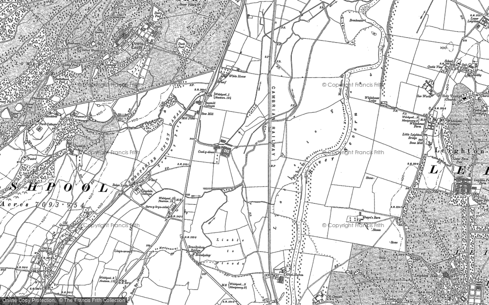 Old Map of Coed-y-dinas, 1884 in 1884