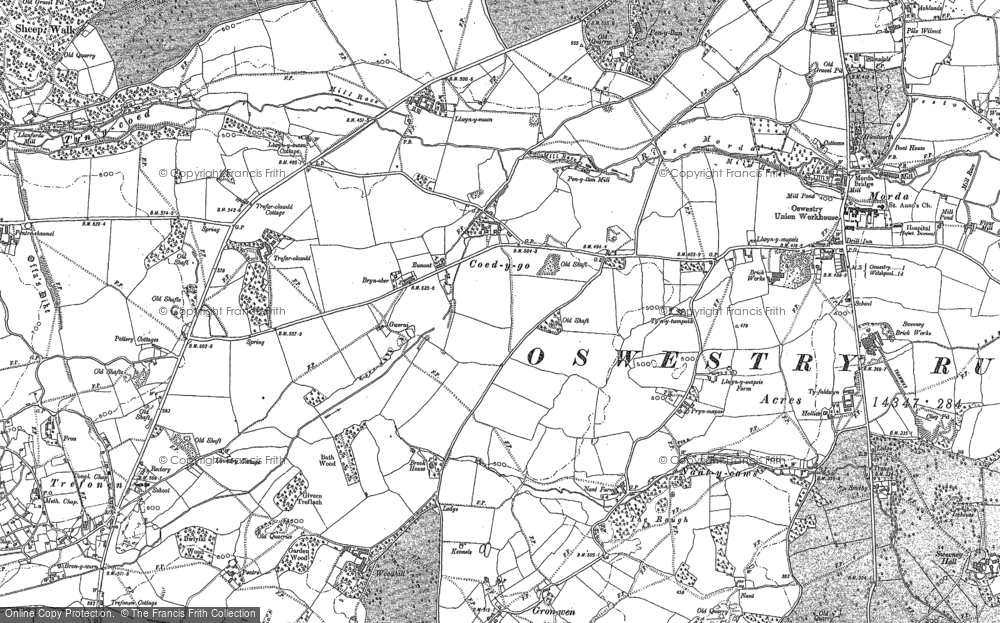 Old Map of Coed y go, 1874 - 1900 in 1874