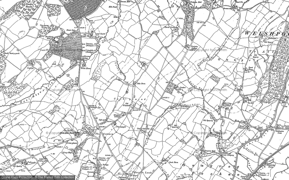 Old Map of Coed-y-wlad, 1884 in 1884