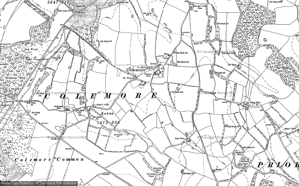 Old Map of Colemore, 1895 in 1895