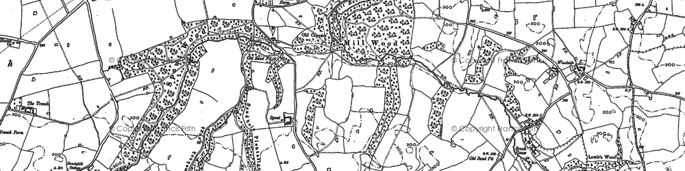 Old map of Lionlane Wood in 1898