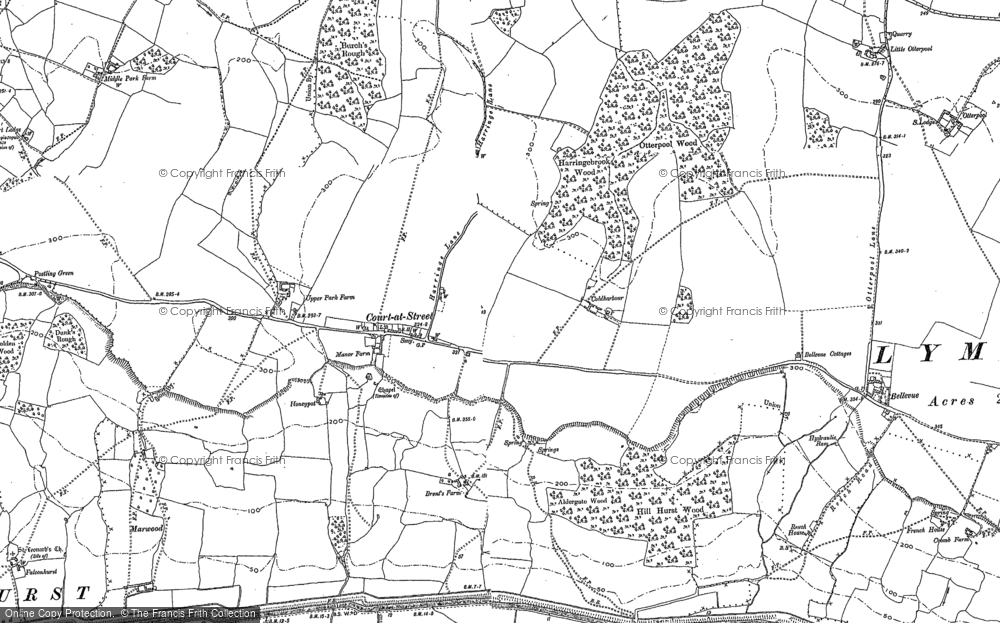 Old Map of Historic Map covering Aldergate Wood in 1896