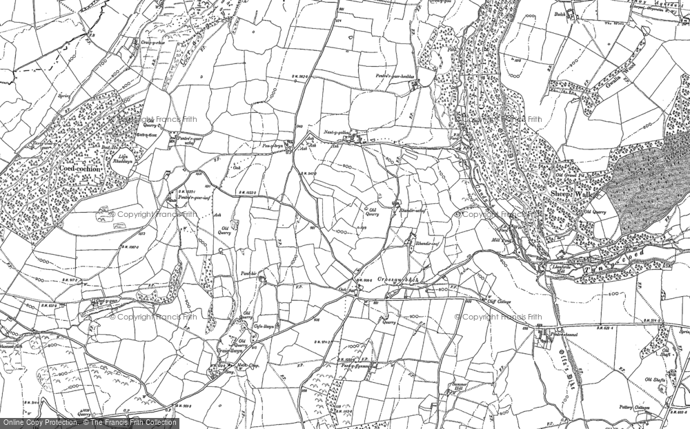 Old Map of Historic Map covering Nant-y-gollen in 1874