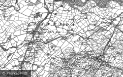 1888 - 1899, Dinas