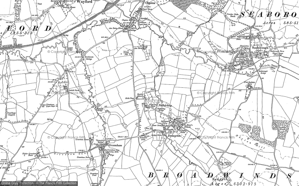 Old Map of Drimpton, 1901 in 1901