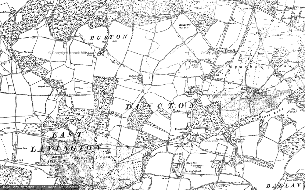 Old Map of Historic Map covering Lavington Common in 1896
