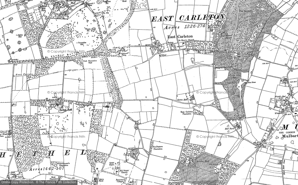 Old Map of East Carleton, 1881 - 1882 in 1881