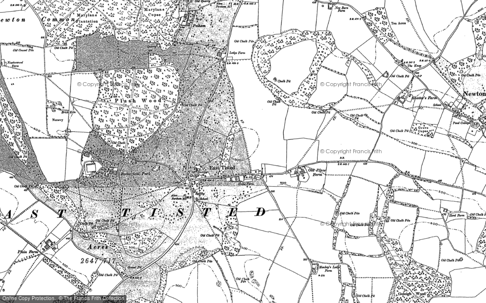 Old Map of East Tisted, 1895 in 1895