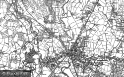 1905, Fforest