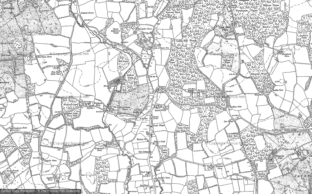 Old Map of Forest Green, 1895 - 1913 in 1895