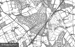1894 - 1895, Forest, The