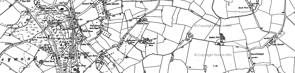 Old map of Lower Green in 1895