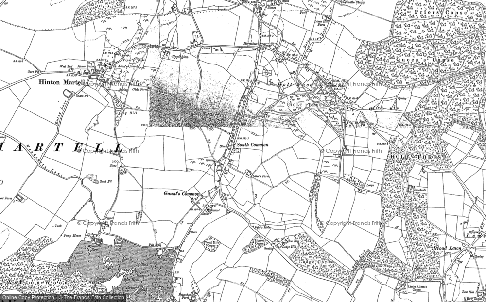 Old Map of Gaunt's Common, 1887 - 1900 in 1887