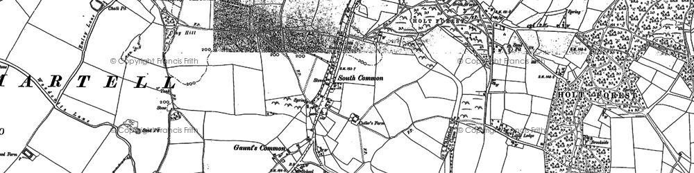 Old map of Gaunt's Common in 1887