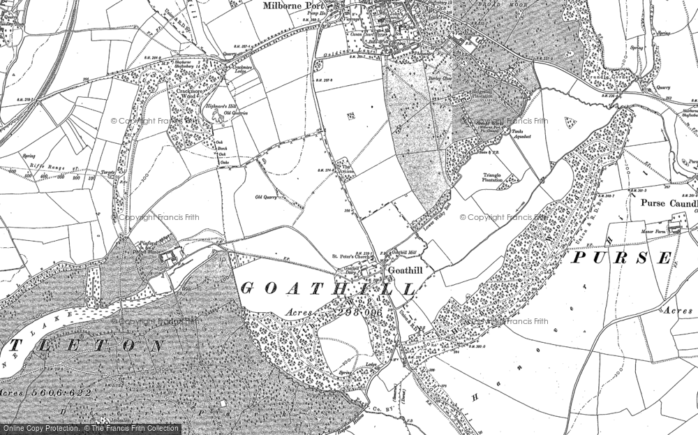 Old Map of Goathill, 1901 in 1901