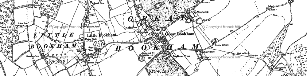 Old map of Great Bookham in 1894