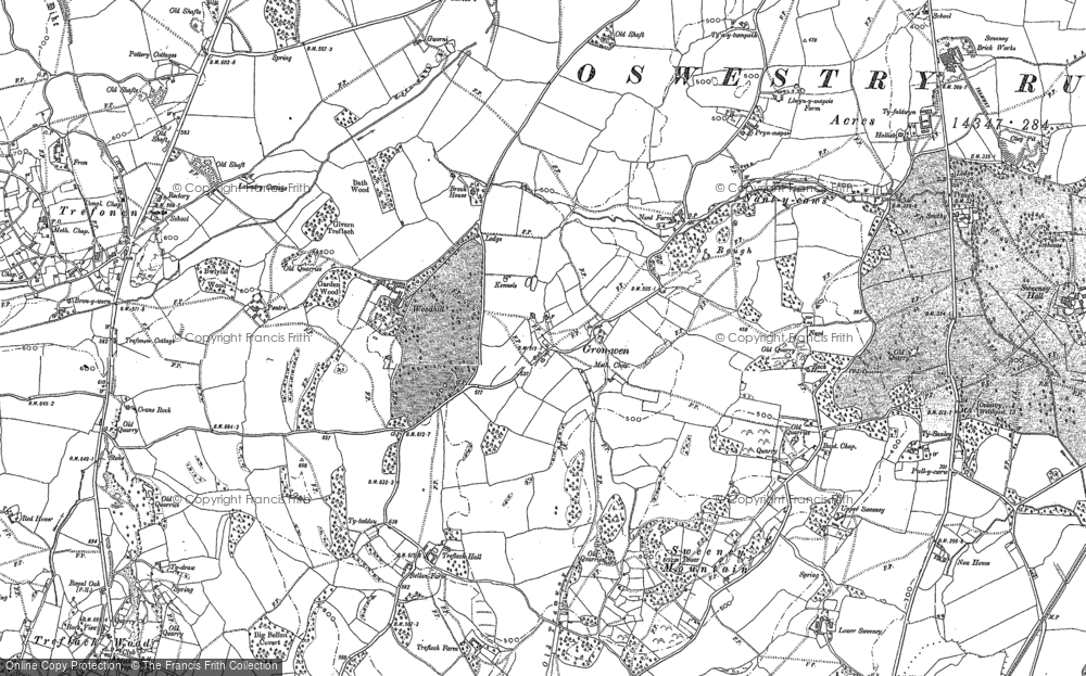 Old Map of Gronwen, 1874 in 1874