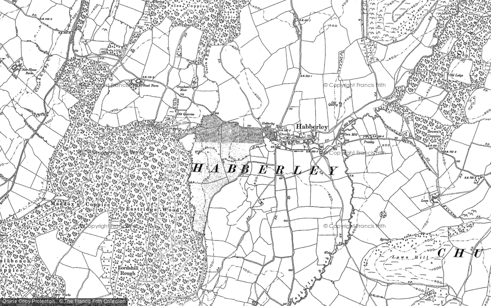 Old Map of Historic Map covering Lees Coppice in 1881