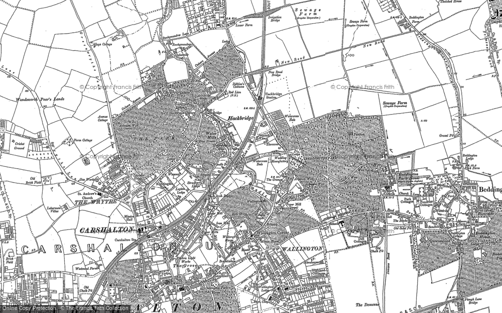 Old Map of Historic Map covering Beddington Park in 1894