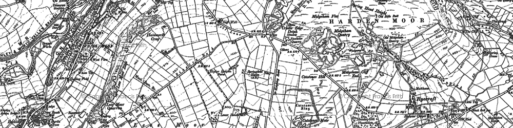 Old map of Whins Wood in 1892