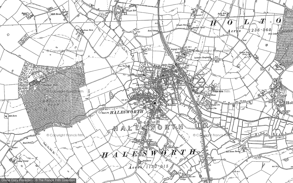 Old Map of Halesworth, 1882 - 1883 in 1882
