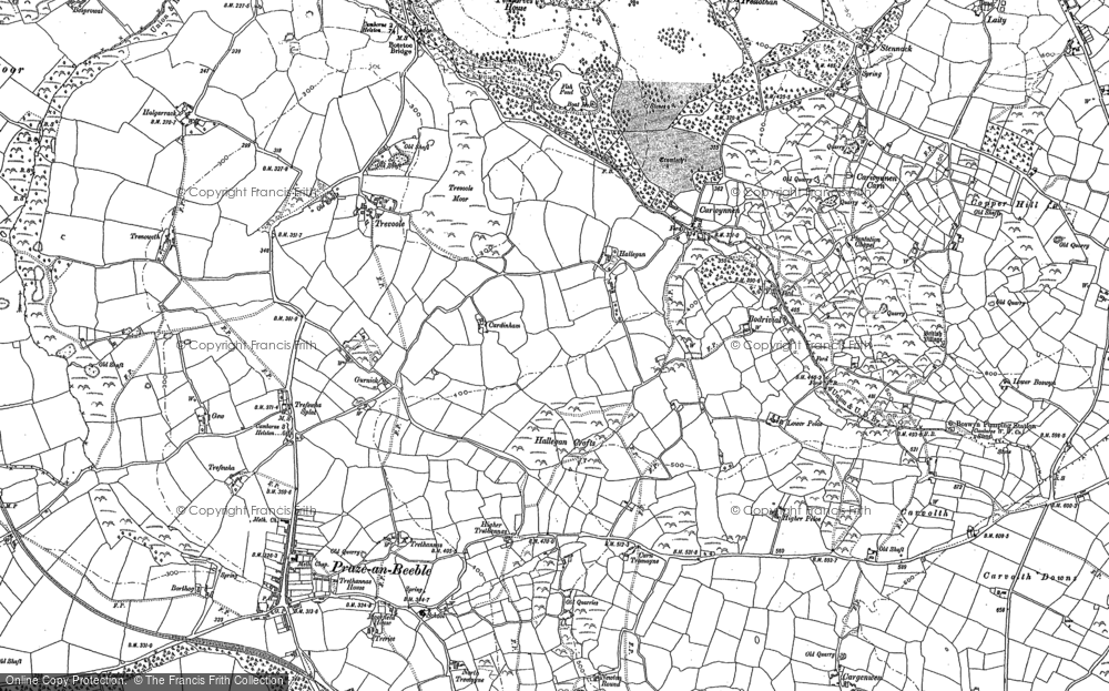 Old Map of Hallegan, 1877 - 1878 in 1877