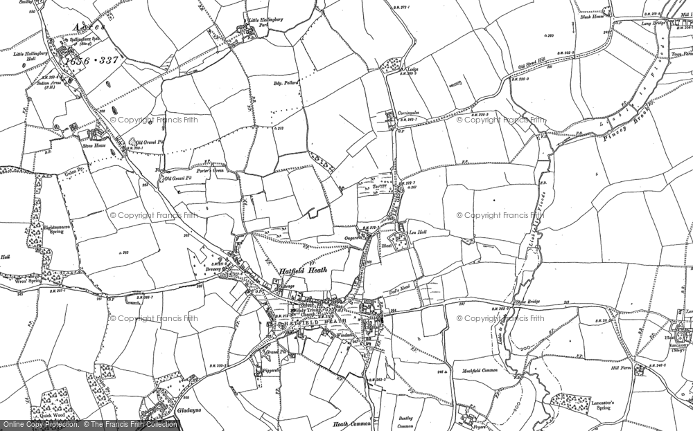Old Map of Historic Map covering The Ryes in 1895