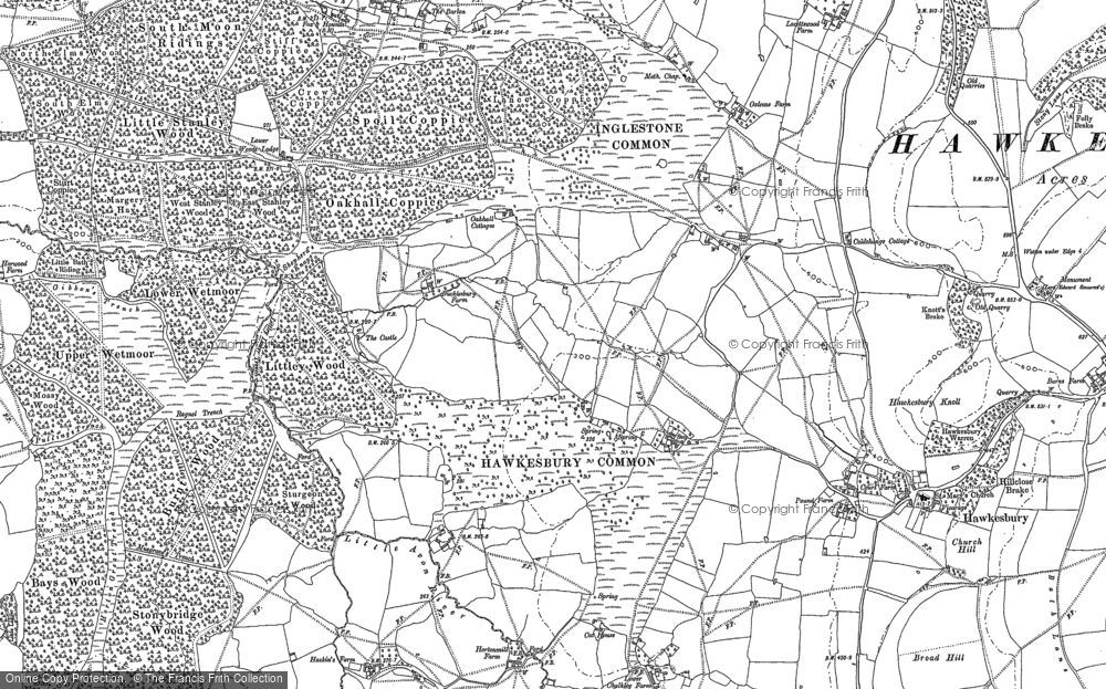 Old Map of Historic Map covering Bays Wood in 1881