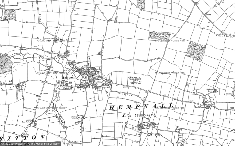 Old Map of Historic Map covering Hempnall Green in 1881