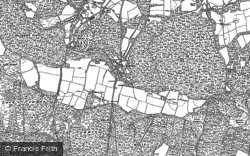1895 - 1910, Henley