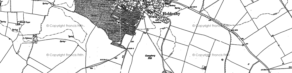 Old map of Holdenby in 1884