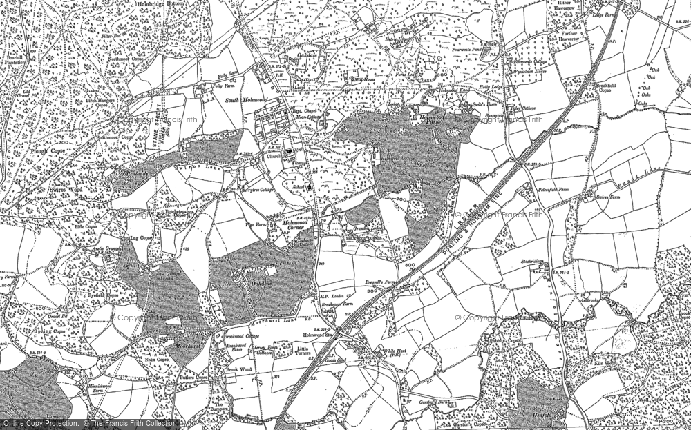 Old Map of Historic Map covering Anstie Grange in 1895