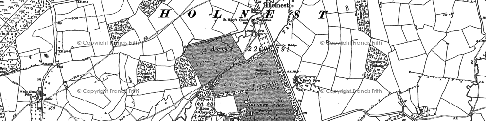 Old map of Holnest in 1886