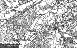 1913, Holt Pound