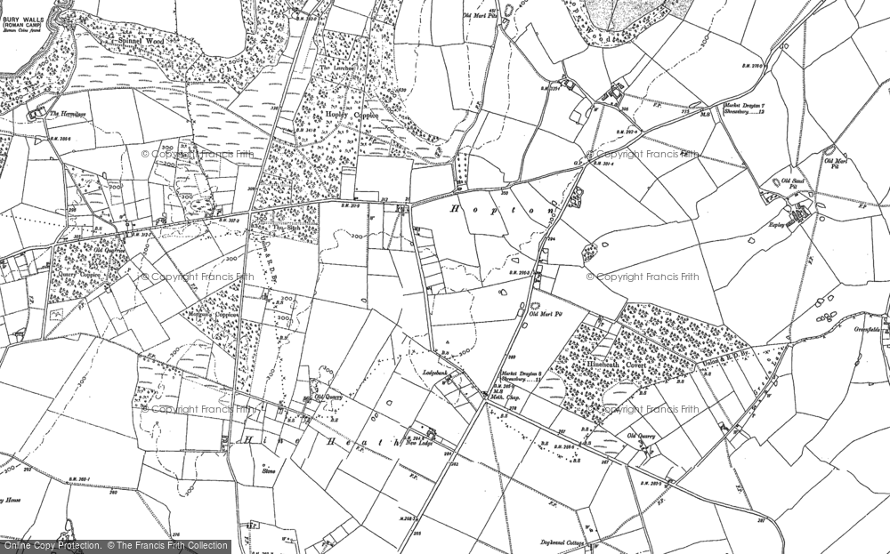 Old Map of Hopton, 1880 in 1880