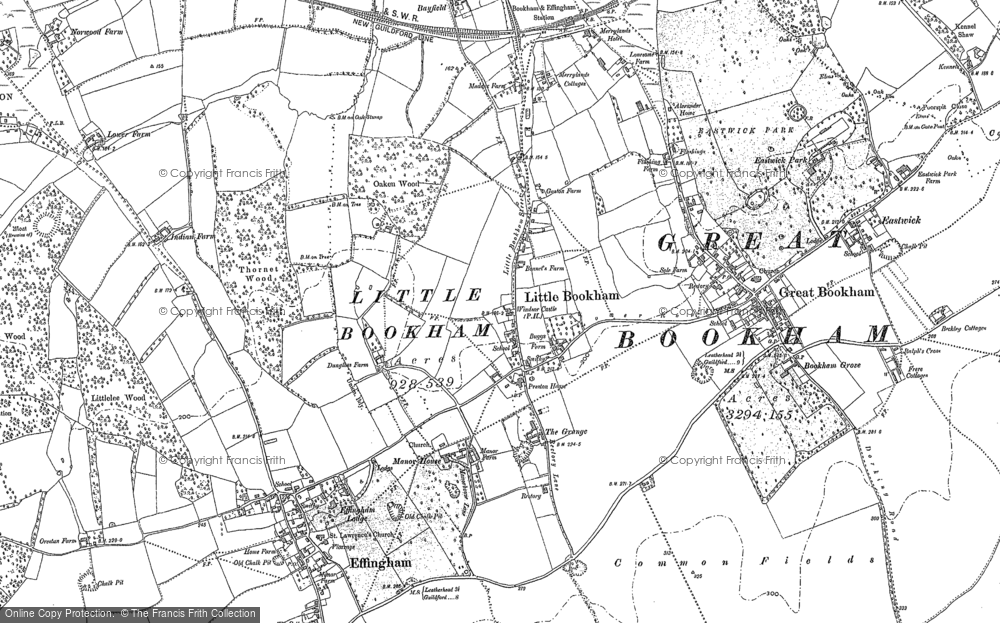 Old Map of Little Bookham, 1894 - 1895 in 1894