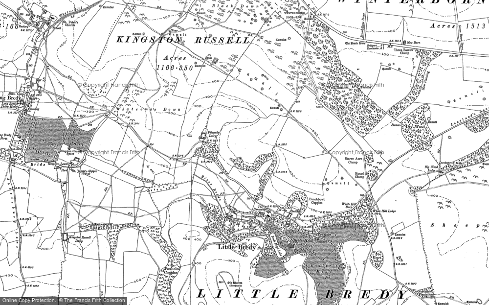 Old Map of Littlebredy, 1886 - 1901 in 1886
