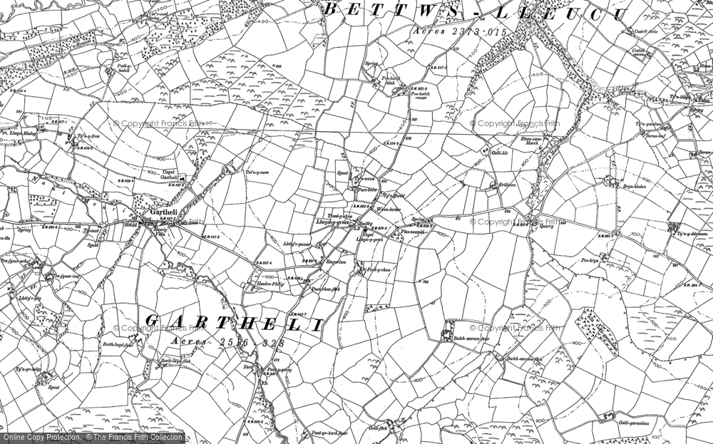 Old Map of Historic Map covering Brynblodau in 1887