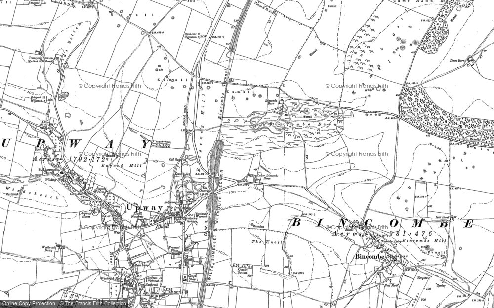 Old Map of Lower Bincombe, 1886 in 1886
