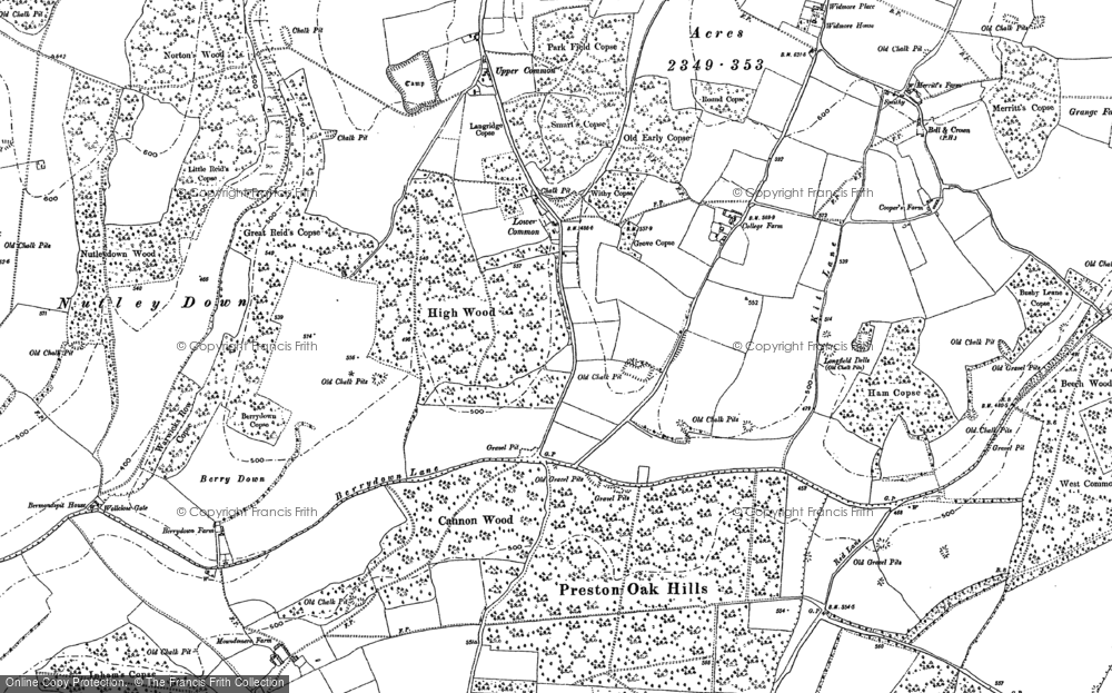 Lower Common, 1894