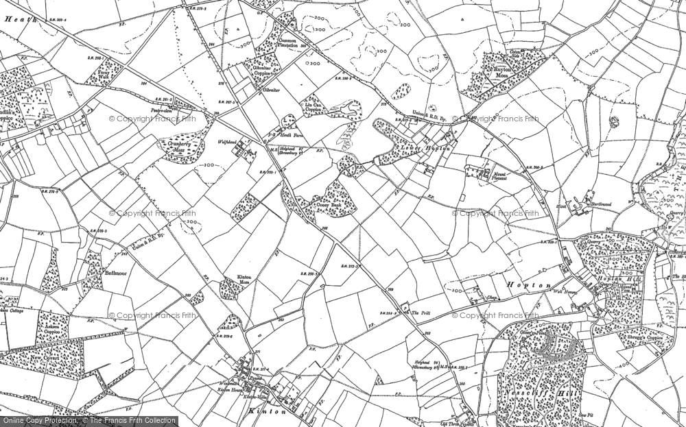 Old Map of Lower Hopton, 1881 in 1881