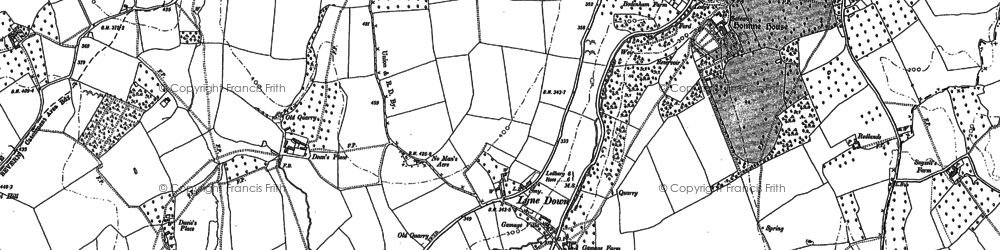 Old map of Lyne Down in 1903