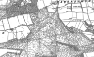 Old Map of Martlesham Heath, 1880 - 1881