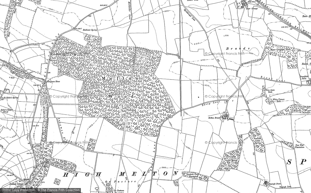 Old Map of Melton Wood, 1890 - 1904 in 1890